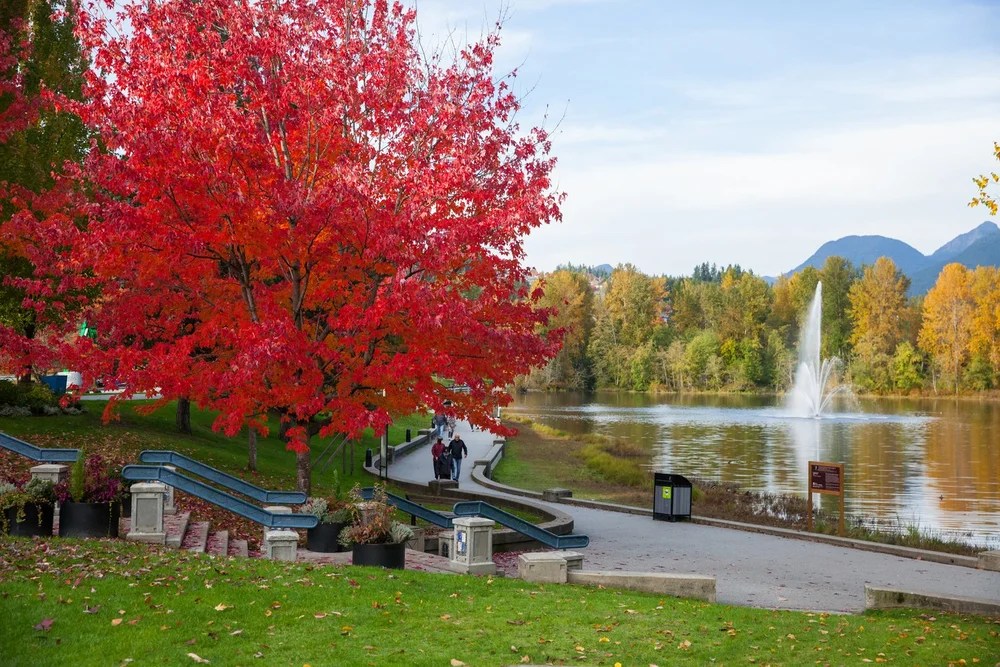 DURMA is your top choice for junk removal in Coquitlam, Belcarra, and Anmore Village! serving both homes and businesses. Our expert team efficiently handles everything from clutter to construction debris, prioritizing recycling and donations. With straightforward pricing and flexible scheduling, we make decluttering easy and eco-friendly.