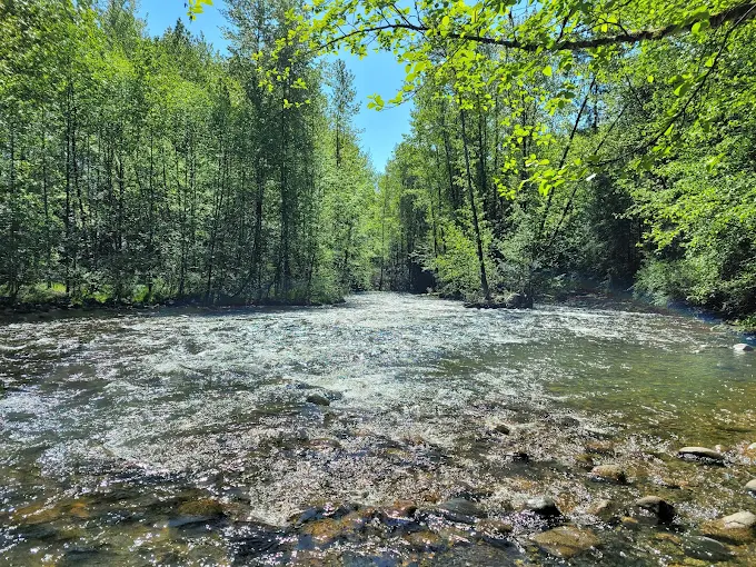 Durma Junk Removal is a locally owned company based in Port Coquitlam! servicing Eco-friendly waste removal including: recycling, donations, green waste disposal and more! for affordable prices. 