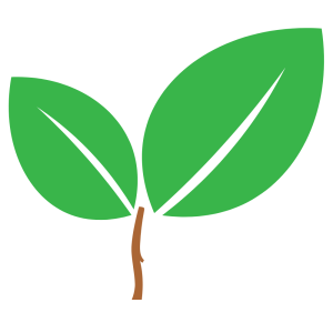 Eco-Friendly Green waste removal